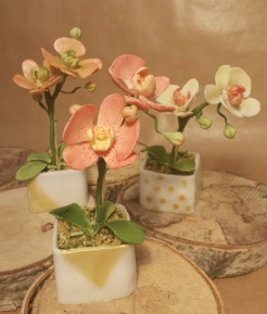 Orchid Flower Pots minicakes